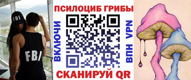 Галлюциногенные грибы Psilocybe  Кингисепп 